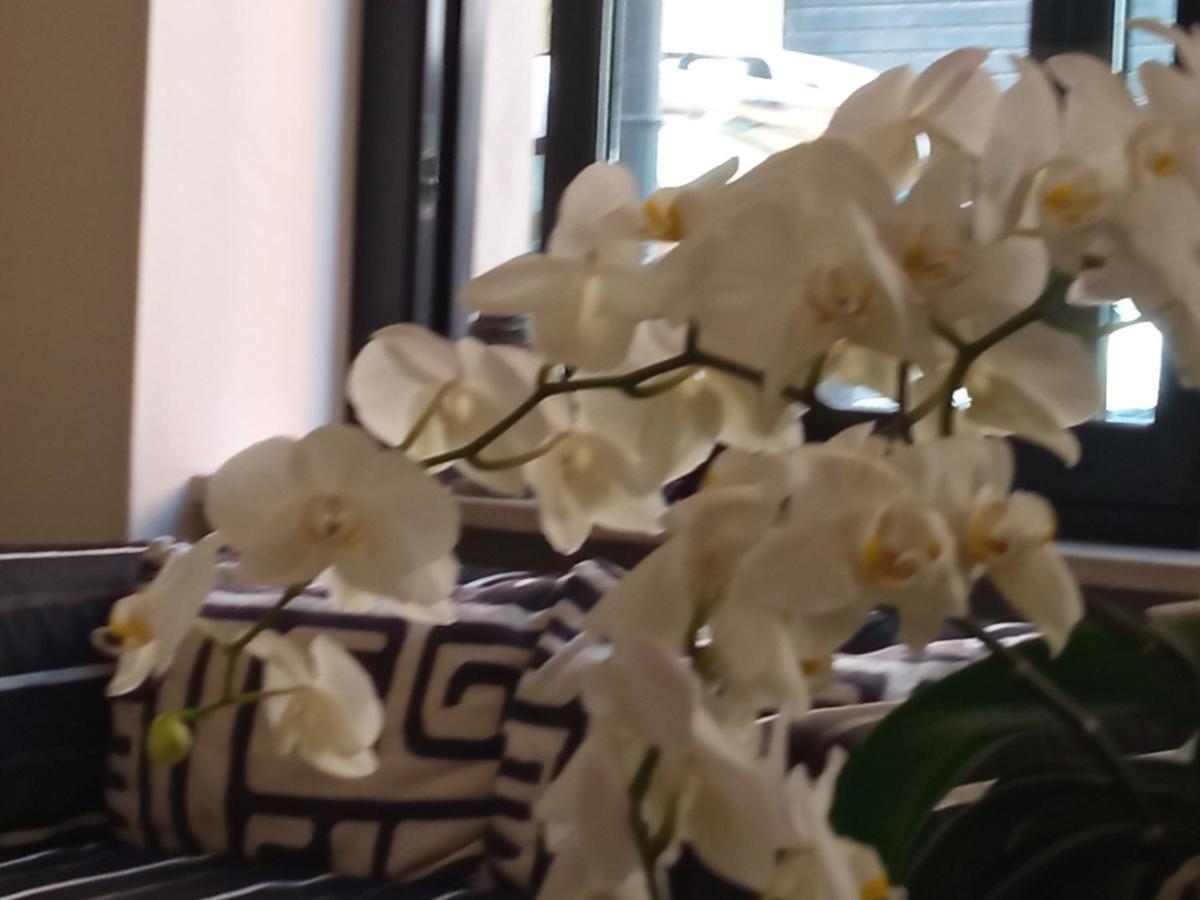 Hotel Touring Livorno Luaran gambar